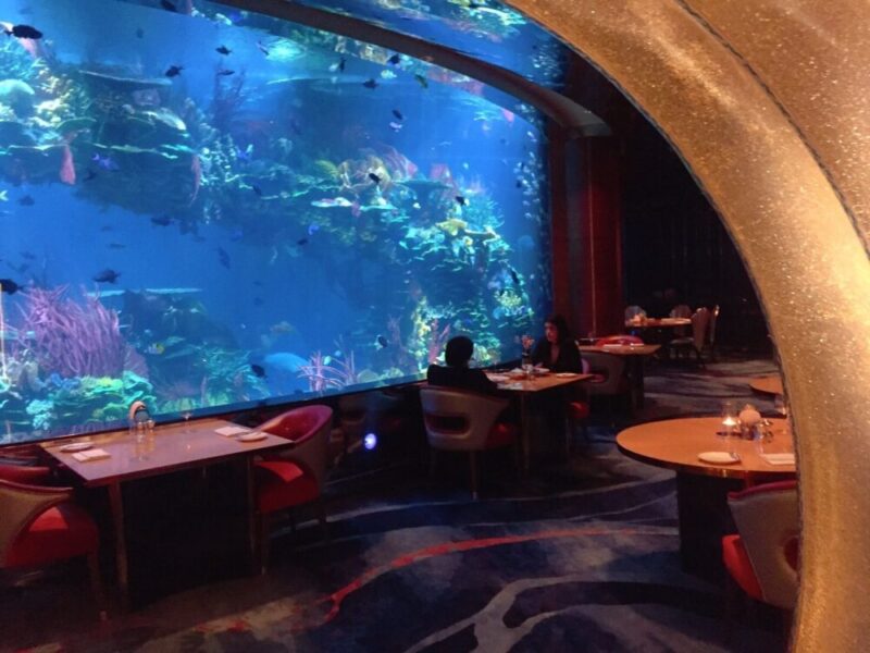 ネイサン・アウトロー