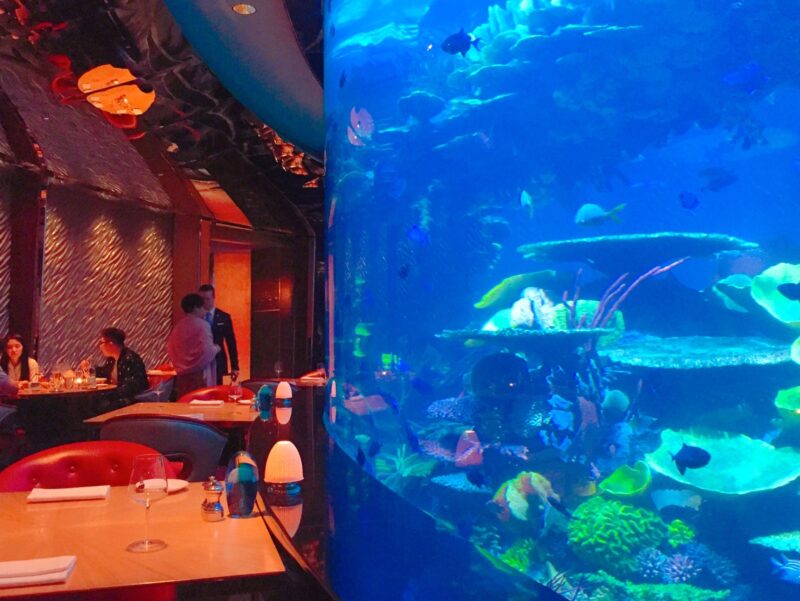 ネイサン・アウトロー