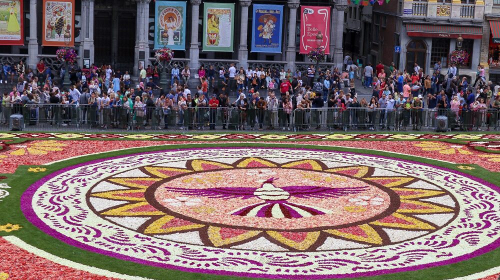 近くで見るフラワーカーペット