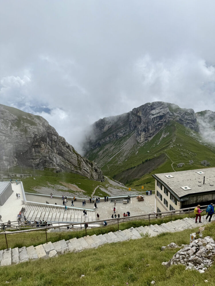 レストランなども！