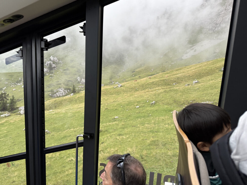 登山鉄道からの景色