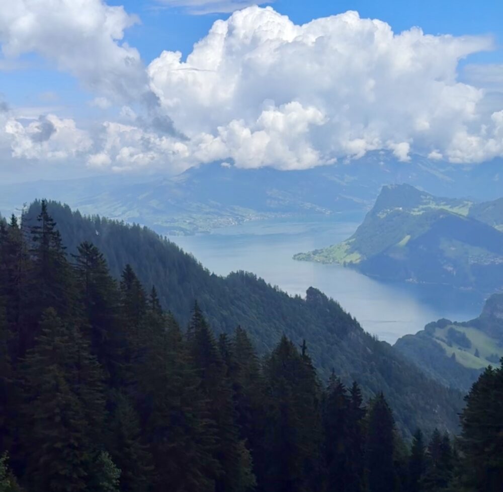 登山鉄道から見るルツェルン湖