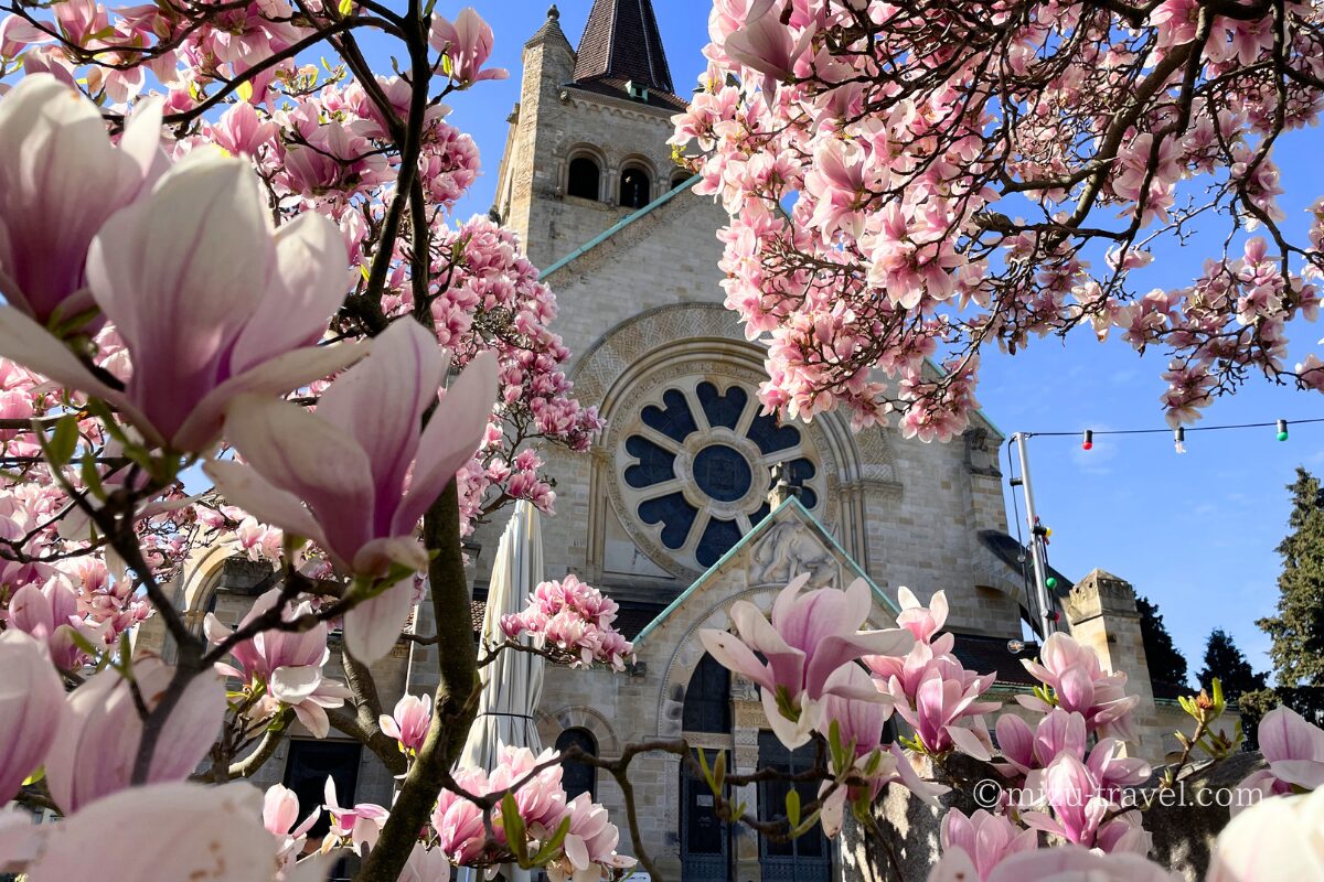 スイスの春の教会