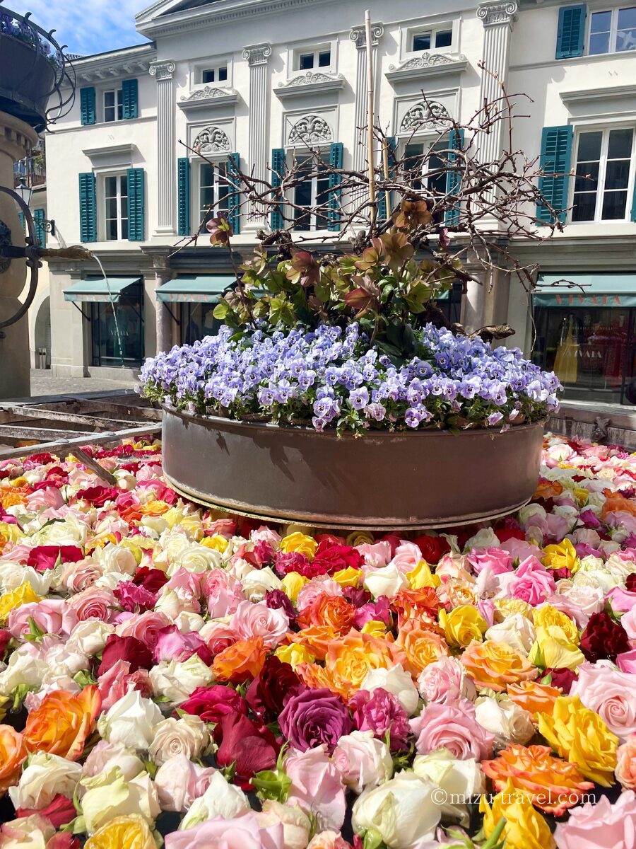 Münzplatzのローズファウンテン