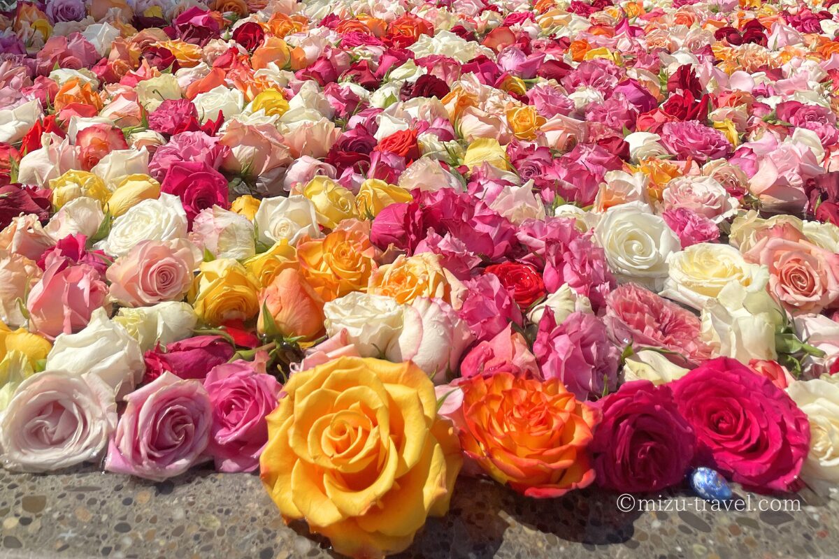 チューリッヒのローズファウンテン